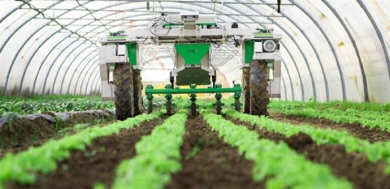 اتحاد نقابات المزارعين يطالب بخطوات عملية لحماية الأراضي الزراعية في الجنوب